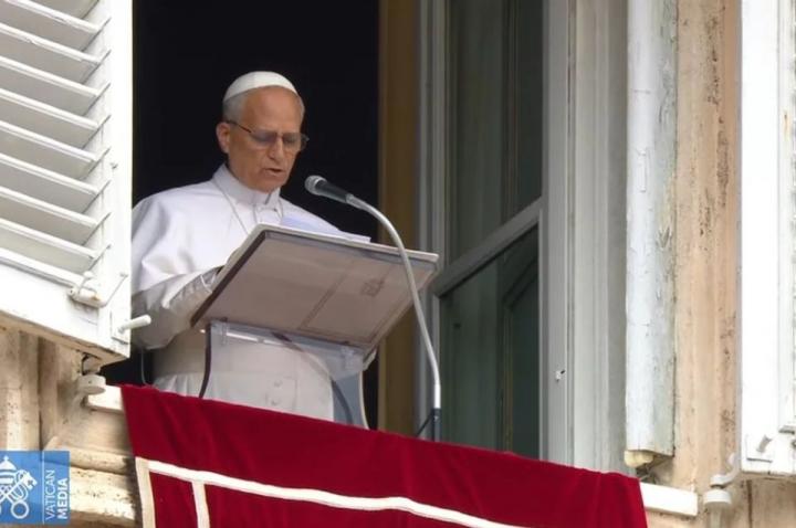El desesperado ruego del Papa: “Detengan esta tragedia”
