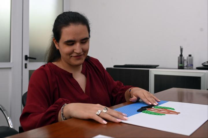 La bandera de la ciudad también tiene su versión accesible
