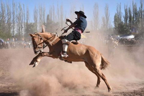 Quieren prohibir las jineteadas en todo el país