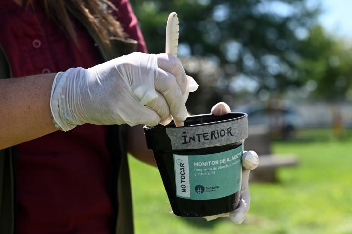 Dengue: se confirmó la presencia del vector en 30 barrios de Santa Fe