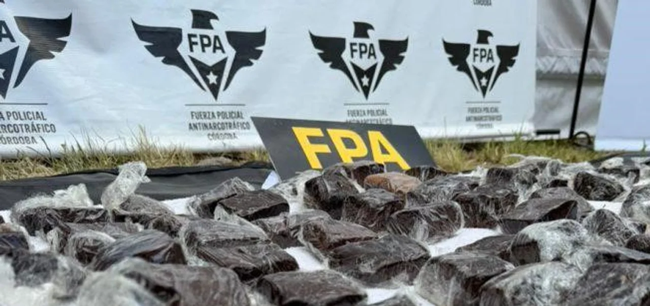 Incautan brownies con marihuana en pleno Cosquín Rock