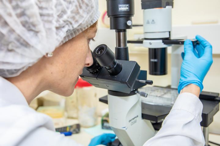 Detectan efectos hormonales de un químico usado en filtros solares