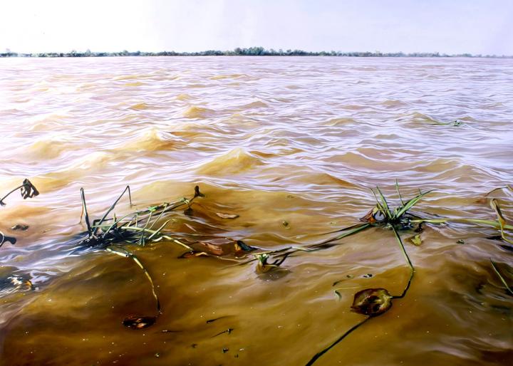 Rosarino pinta al Paraná con hiperrealismo