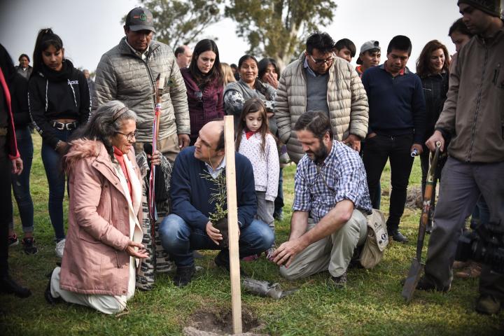 A 25 años del reconocimiento de los derechos indígenas