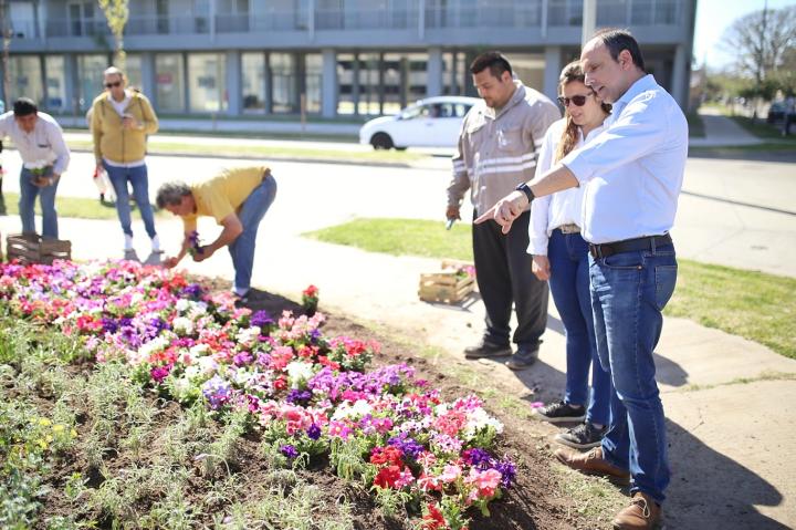 20.000 plantines para reforestar Santa Fe