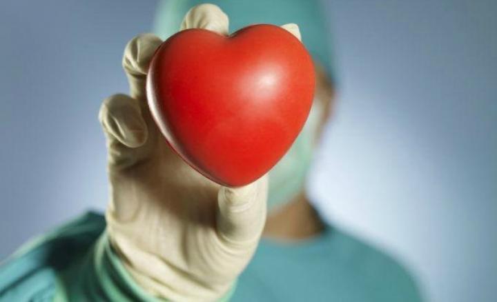 Votá por la vida: convocan a voluntarios