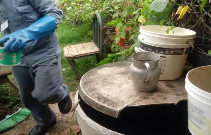  Cómo evitar la proliferación de mosquitos