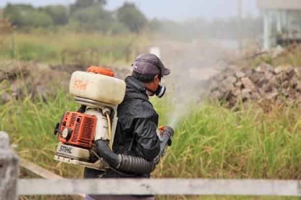 Fumigación en Santa Fe: todos los días, todo el verano