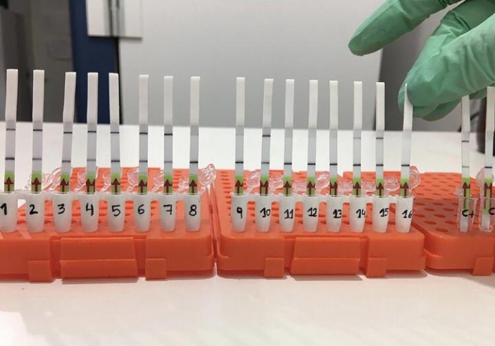 Kit detectando Coronavirus.