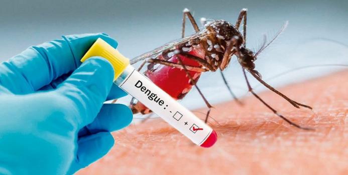 Santa Fe: primeros casos de dengue autóctono 