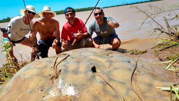 Pescaron una raya gigante de 160 kilos en Santa Fe