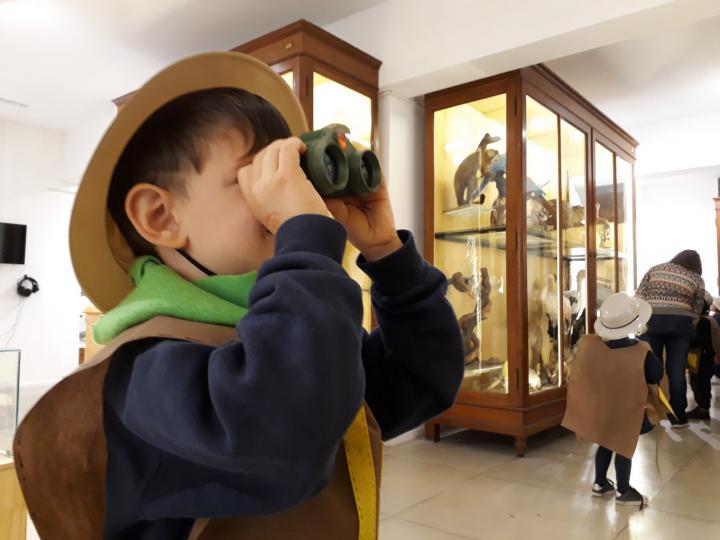 El Museo Ameghino inicia el período de visitas mediadas