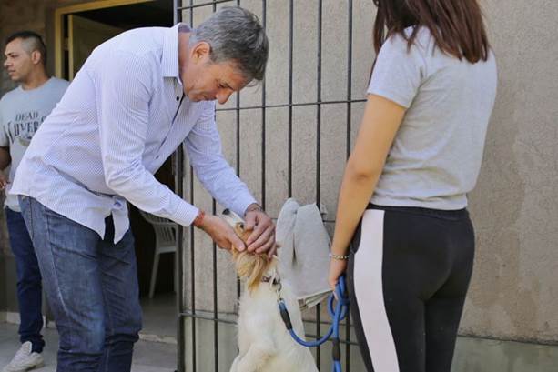 Campaña de castración gratuita en los barrios de Santa Fe