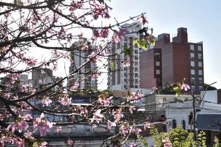 Consejos para los consorcios de Santa Fe