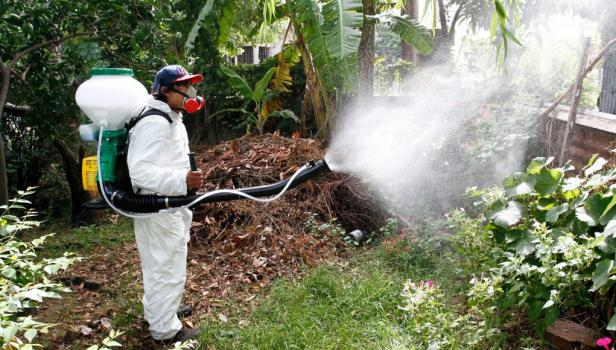 El dengue no da respiro al norte de Santa Fe
