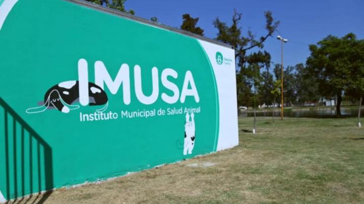 Salud animal: pedí turnos para una atención especial