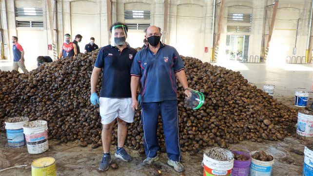 Santa Fe Rugby solidario: embolsaron 30 toneladas de papas