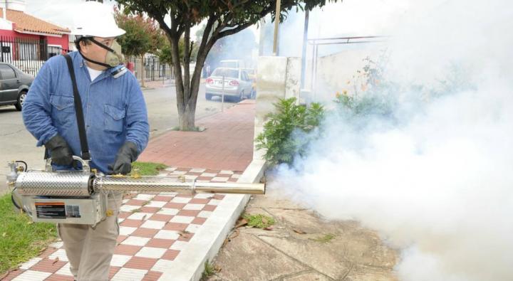 Dengue: las acciones de bloqueo llegaron a 11.500 casas
