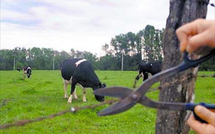 Buscan mejorar la seguridad y prevenir delitos rurales