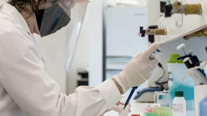 Investigadores estudian anticuerpos contra COVID-19