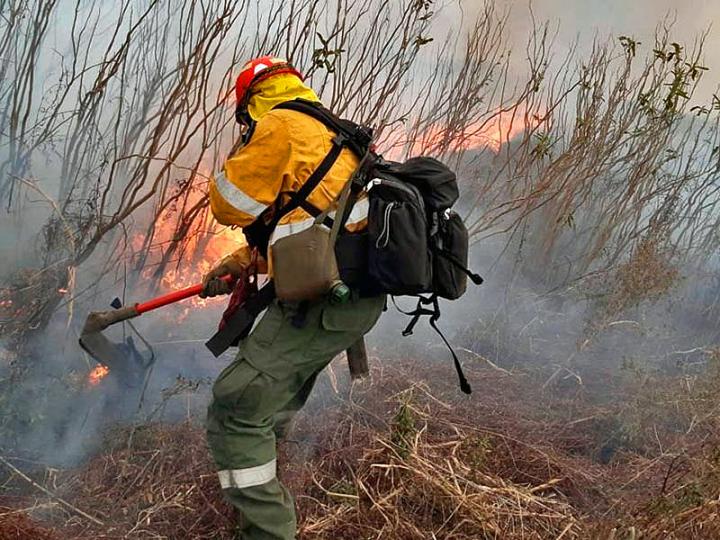 Incendio en las islas: “Queda muy poco para quemar” 