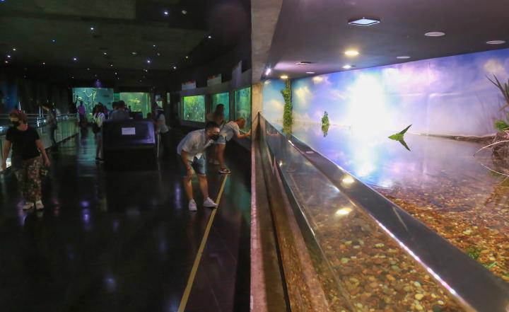 Cientos de familias disfrutaron de la reapertura del Acuario del Río Paraná