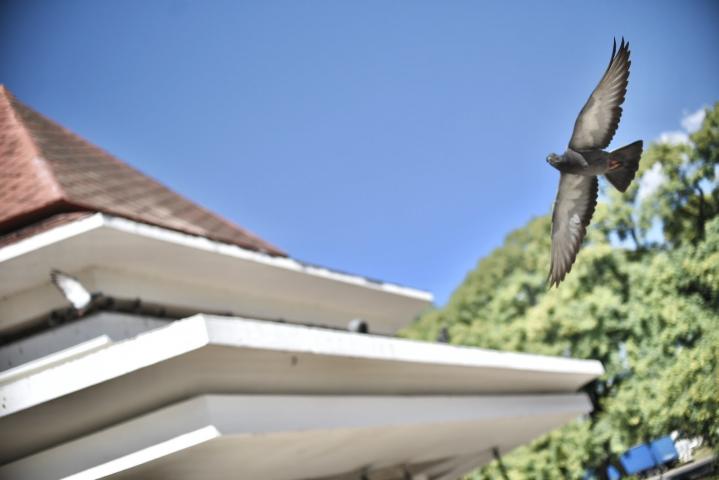 Convocan a concurso de fotografía sobre el ambiente