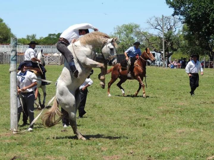 Se viene la Fiesta de la Doma en Cayastá