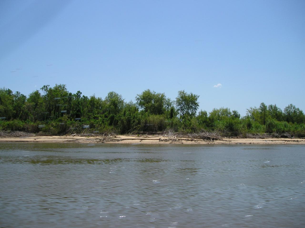 No se detectó contaminación en las tomas de agua a cargo de ASSA