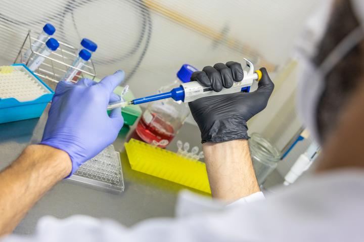 Científicos de la UNL desarrollan una vacuna contra la covid