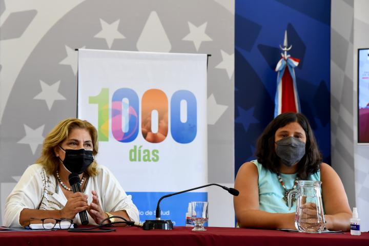 Martorano y Marinaro presentaron el plan santafesino.