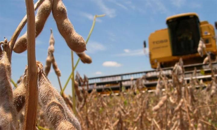 Cómo acceder a los beneficios de la emergencia agropecuaria