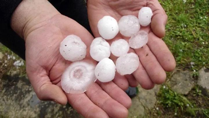 $ 8 millones a productores afectados por granizada