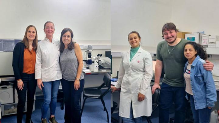 Sorprendente hallazgo sobre los anticuerpos del covid 