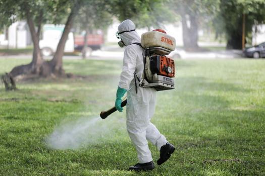 Brote de dengue en Santa Fe: hay más de 9000 casos