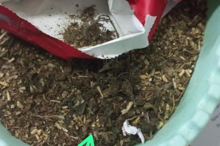 No era yerba para el mate, era marihuana