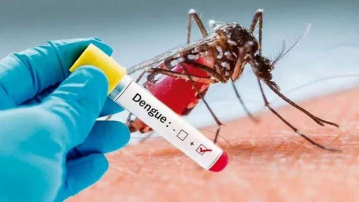Dengue: confirman 124 casos en la provincia de Santa Fe