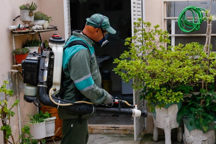Dengue: siete barrios de Santa Fe con circulación viral