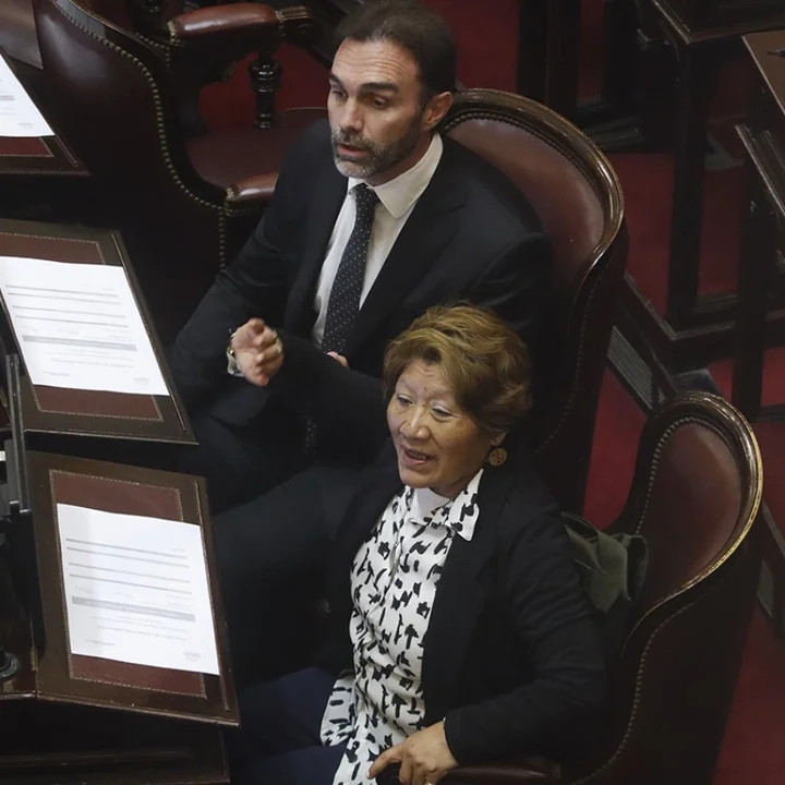 La senadora jujeña Vilma Facunda Bedia metió en el Congreso a 10 parientes.