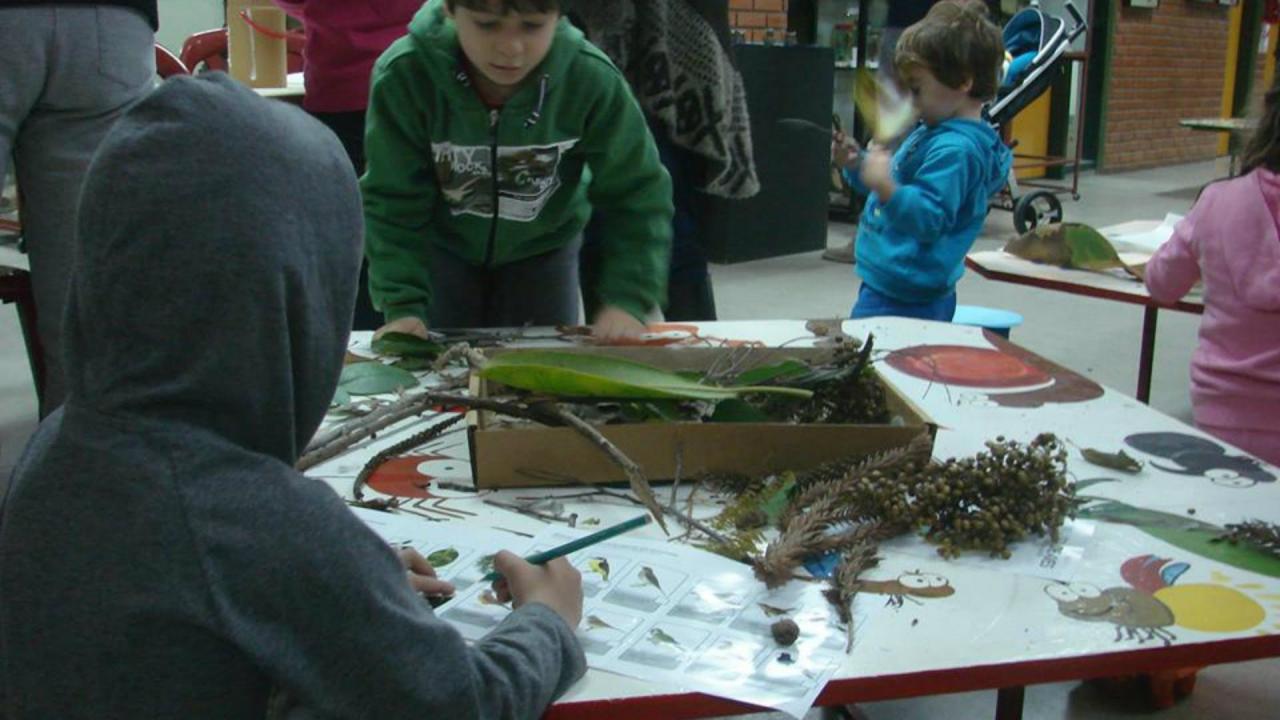 Niños y adultos coparon los museos provinciales