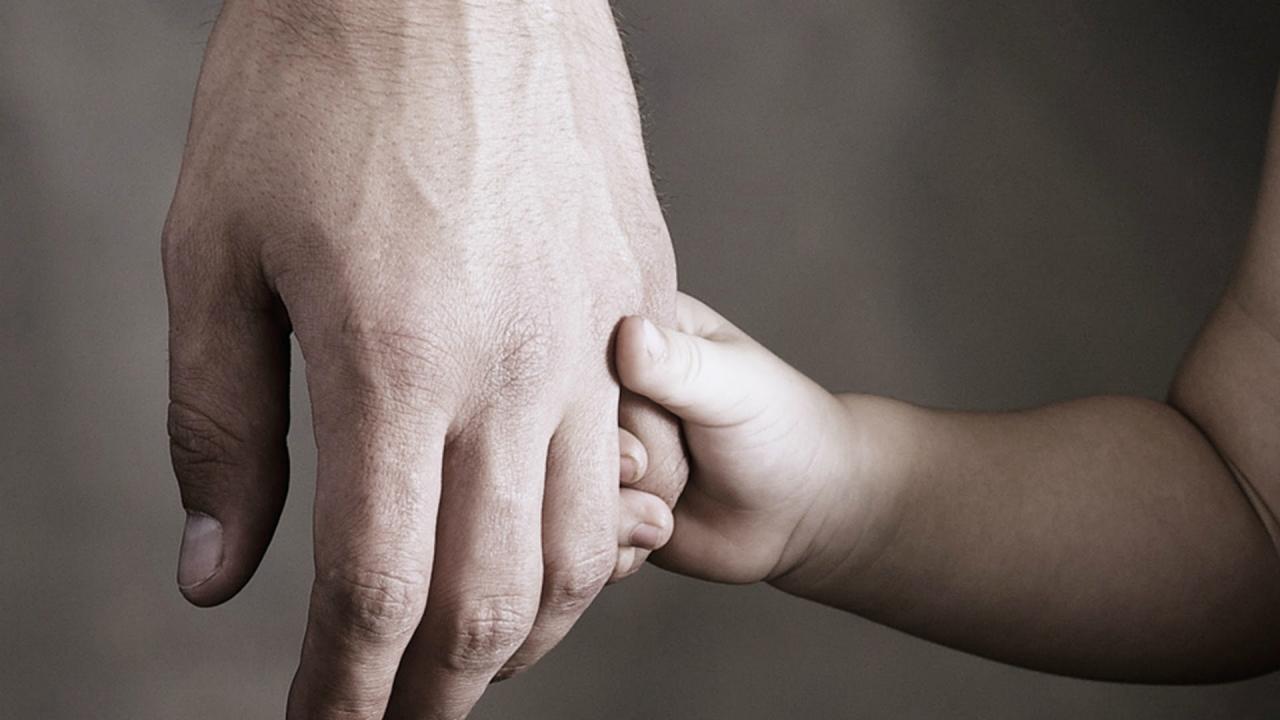 Donantes santafesinos permitieron 18 trasplantes