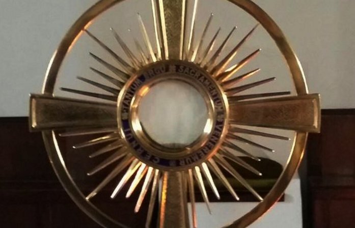 Santa Fe: conmoción por la aparición de la Virgen de Guadalupe