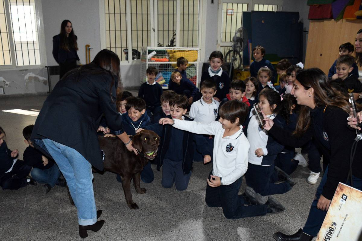 Promueven la tenencia responsable de animales en las escuelas