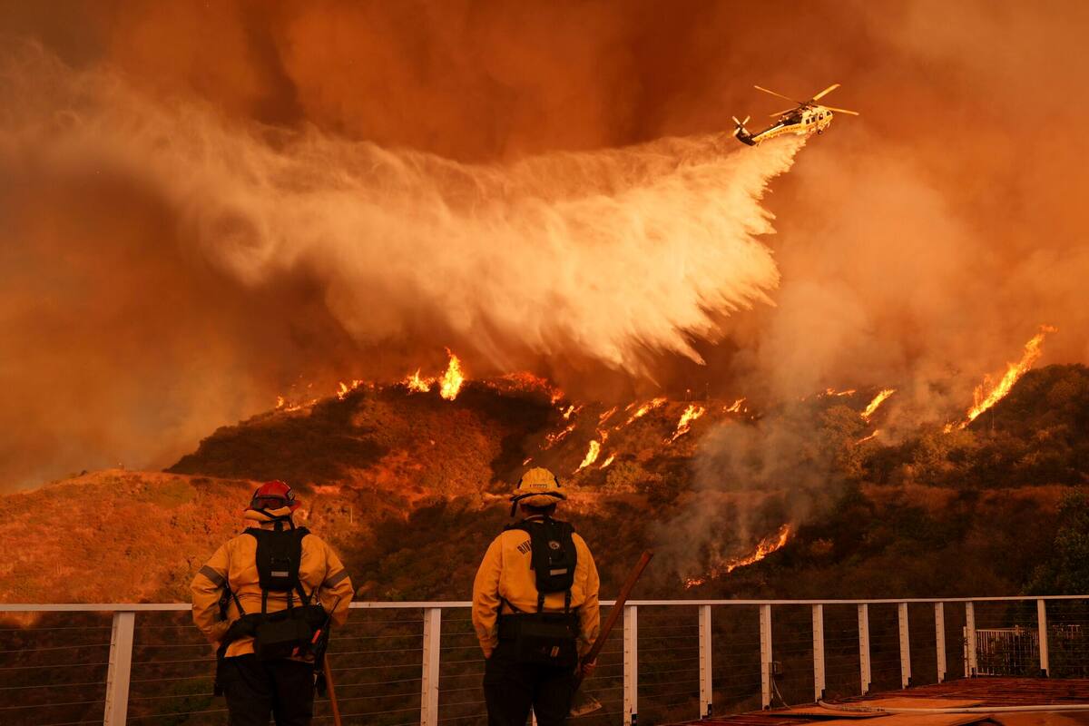EE.UU.: un incendio forestal arrasó más de 800 hectáreas en California