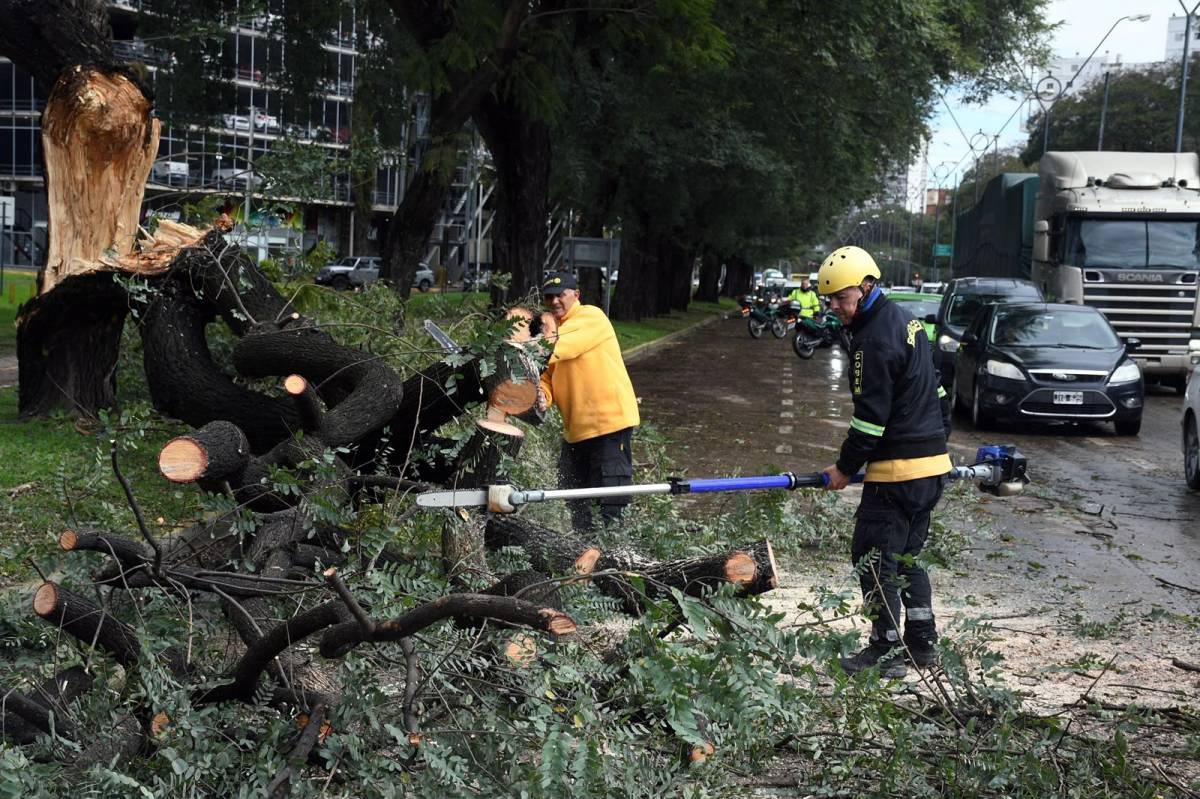 Luego de la tormenta, la Municipalidad atiende incidencias en toda la ciudad
