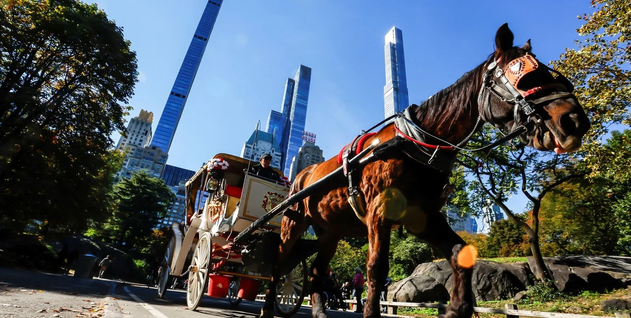 Nueva York prohibirá los carruajes tirados por caballos 