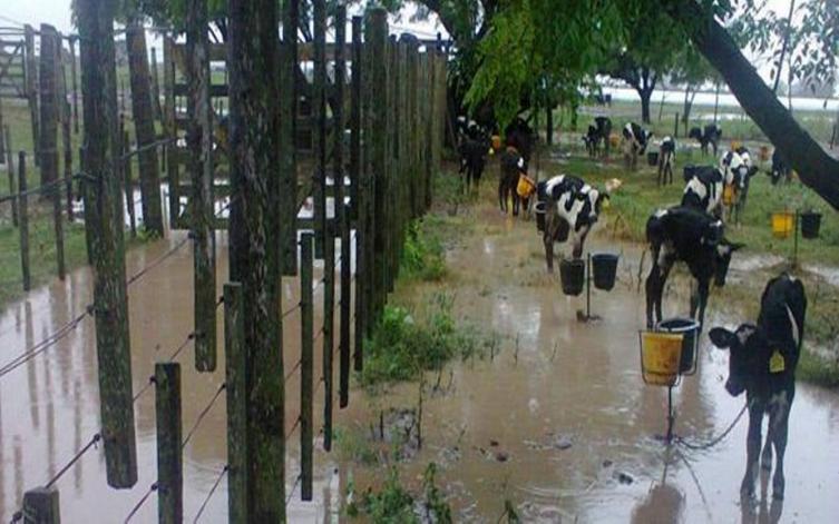 Tamberos inundados refinancian facturas de la EPE