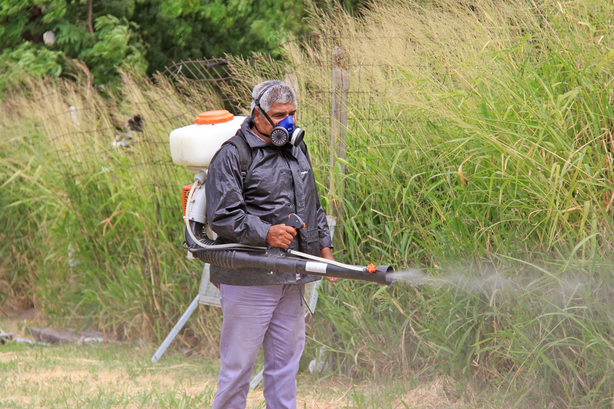 El municipio intensifica las fumigaciones en la ciudad y en la costa